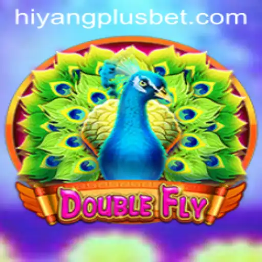 DoubleFly: A New Era in Gaming with HIYANGPLUS